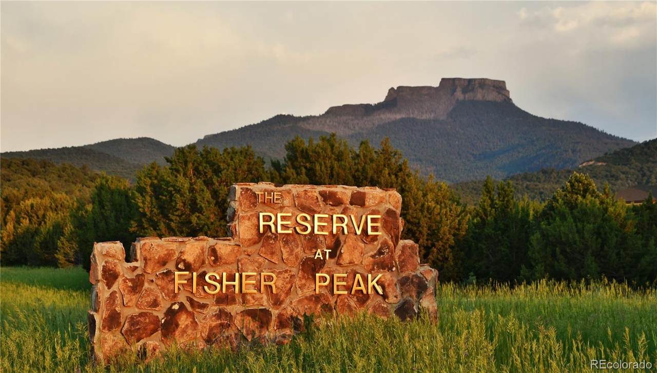 406 Riata Drive - Photo 1