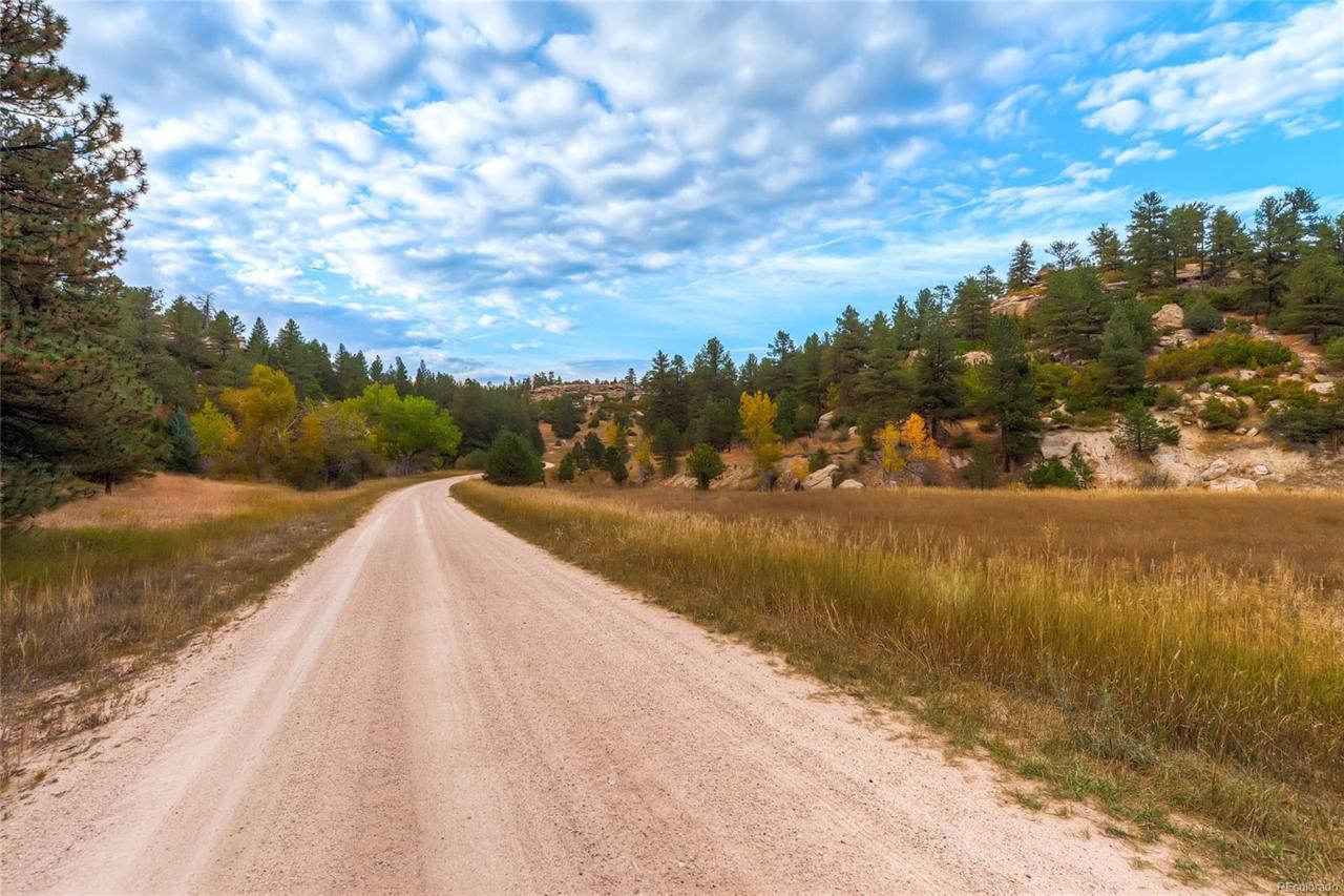 6585 Lost Canyon Ranch Road - Photo 1