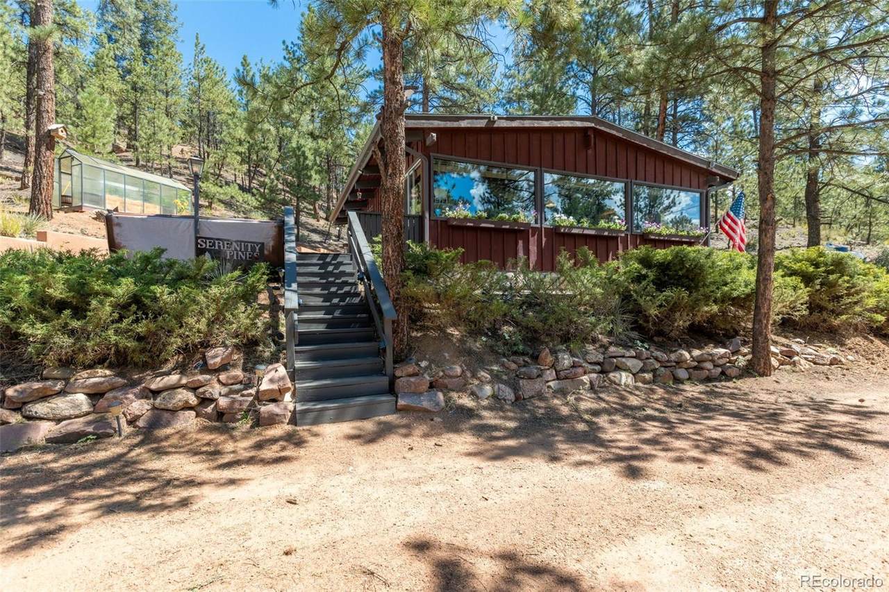 9867 Canon Drive - Photo 1