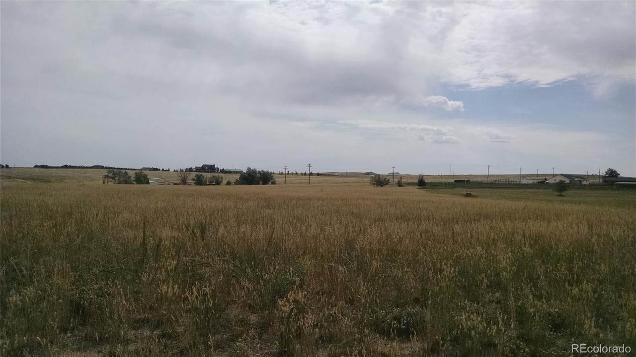 2427 Elkhorn Ranch Street - Photo 1