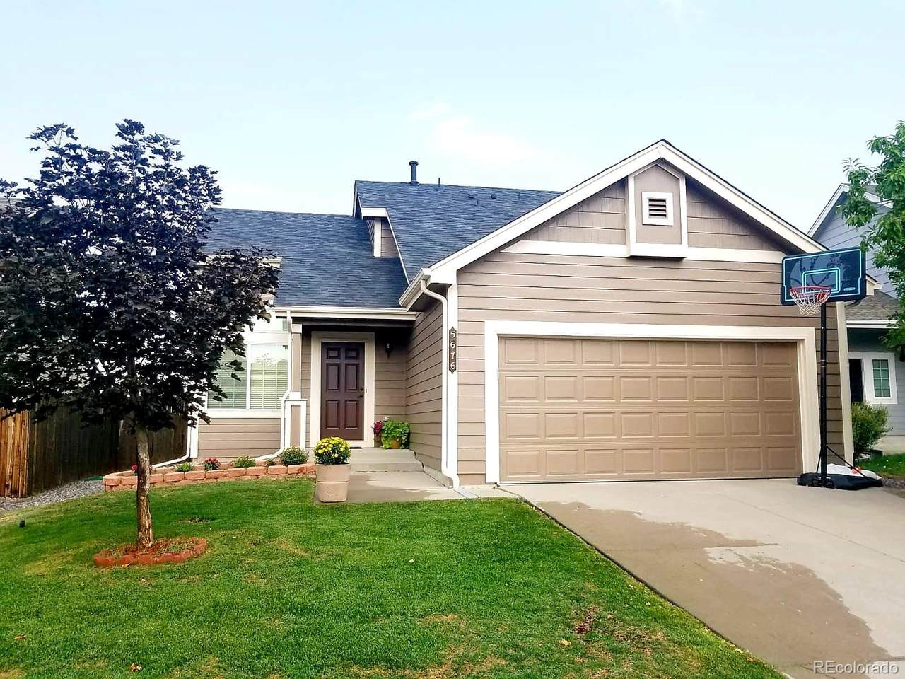 5676 Zante Way - Photo 1
