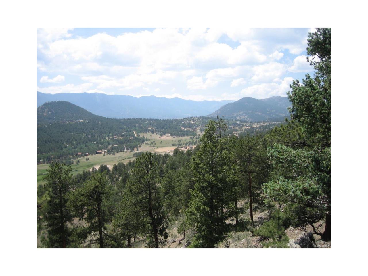 854 Dick Mountain Drive, Bailey, CO 80421 (MLS #3445487) :: 8z Real Estate