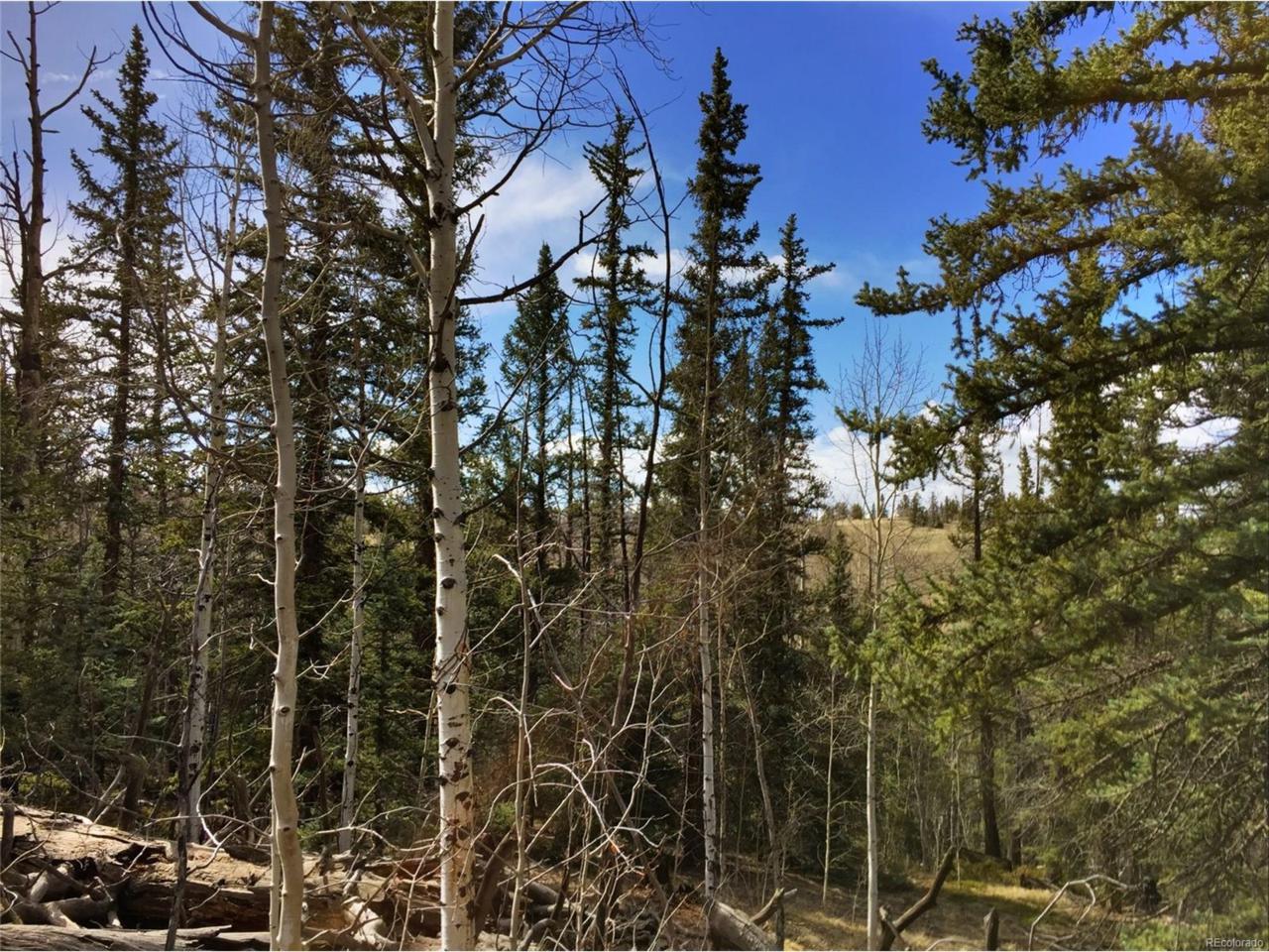 509 Tepee Trail - Photo 1