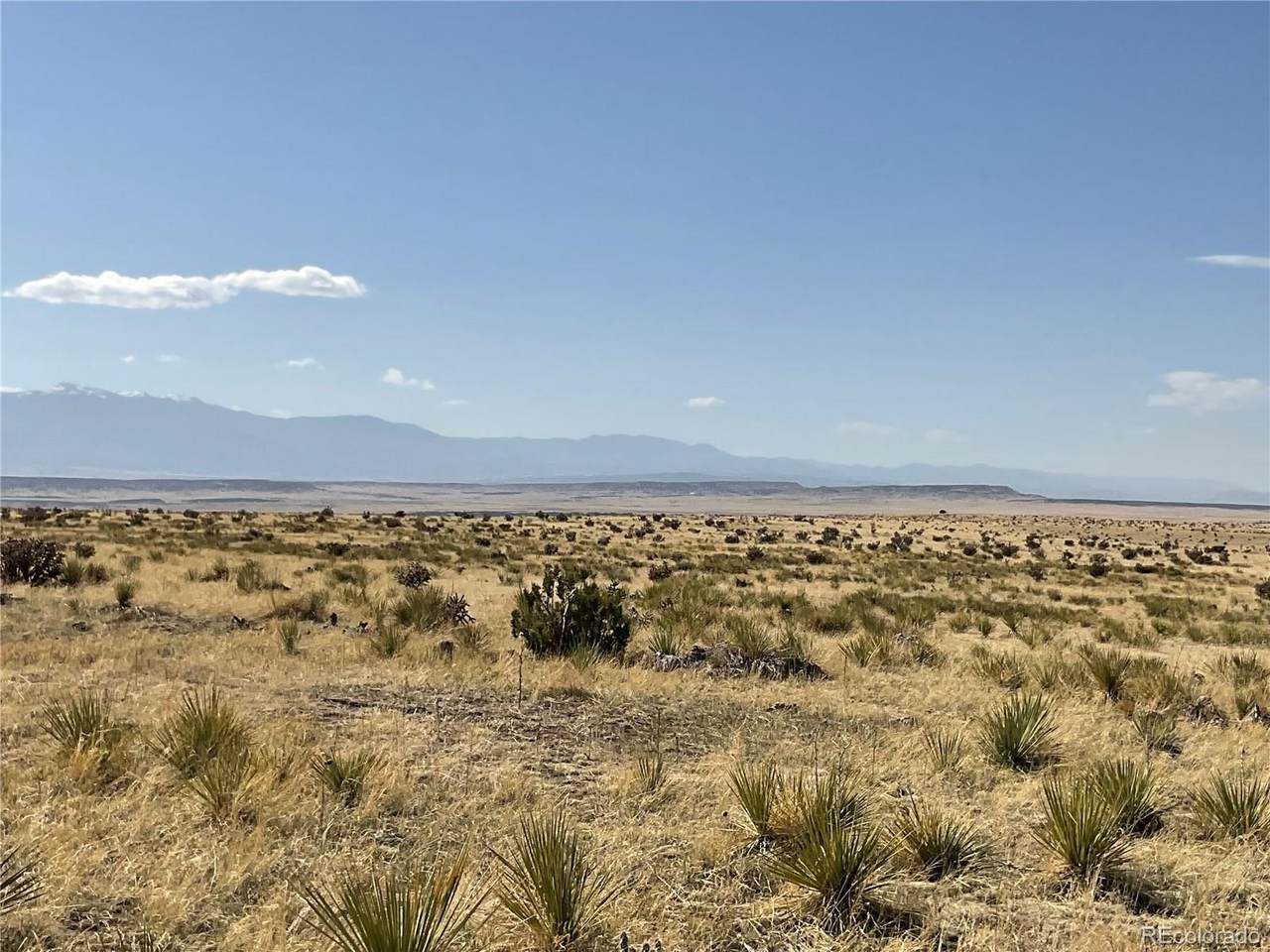 Lot 239 Turkey Ridge Ranch - Photo 1
