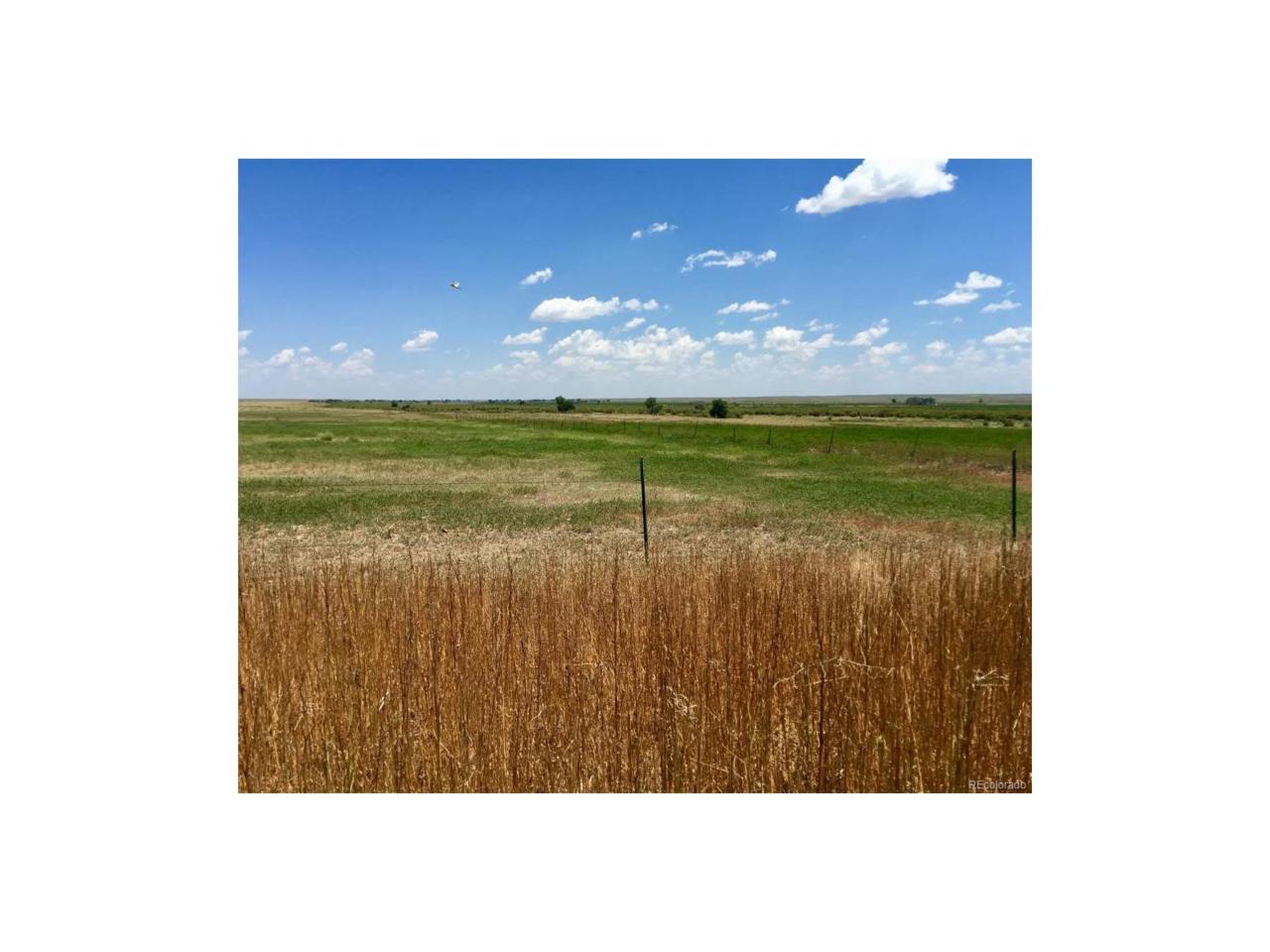 Highway 50 - Photo 1