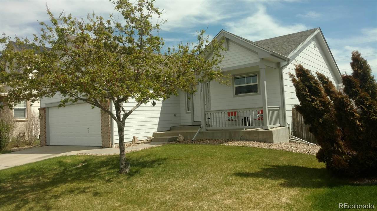 4686 Mt Princeton Street - Photo 1 4686 Mt Princeton Street - Photo 1