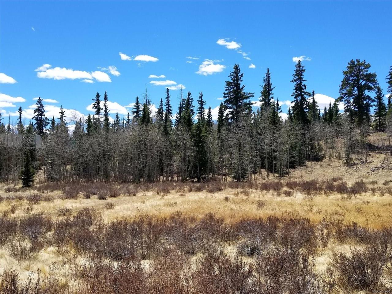346 Mustang Trail - Photo 1