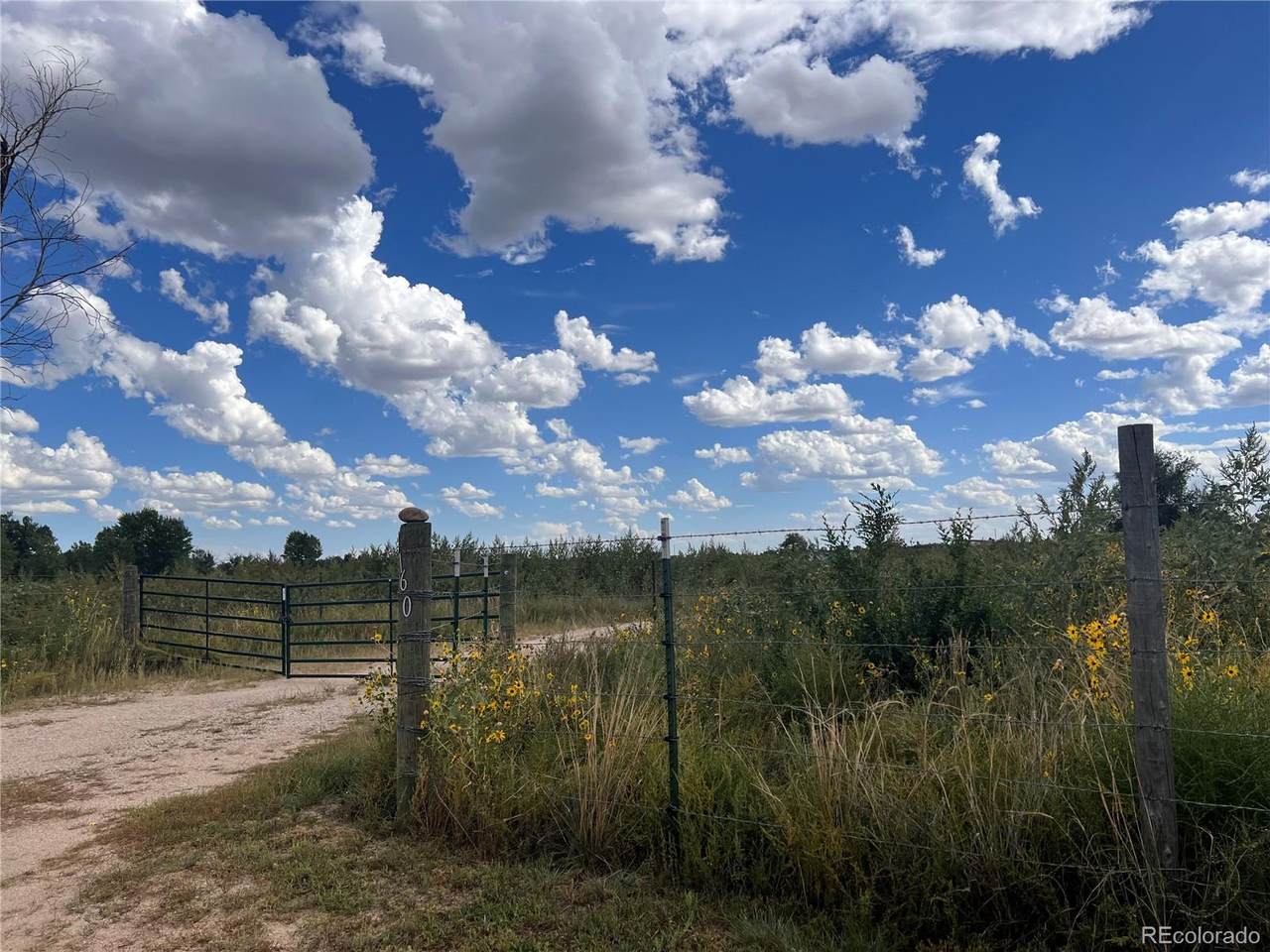 1160 Immel Street - Photo 1