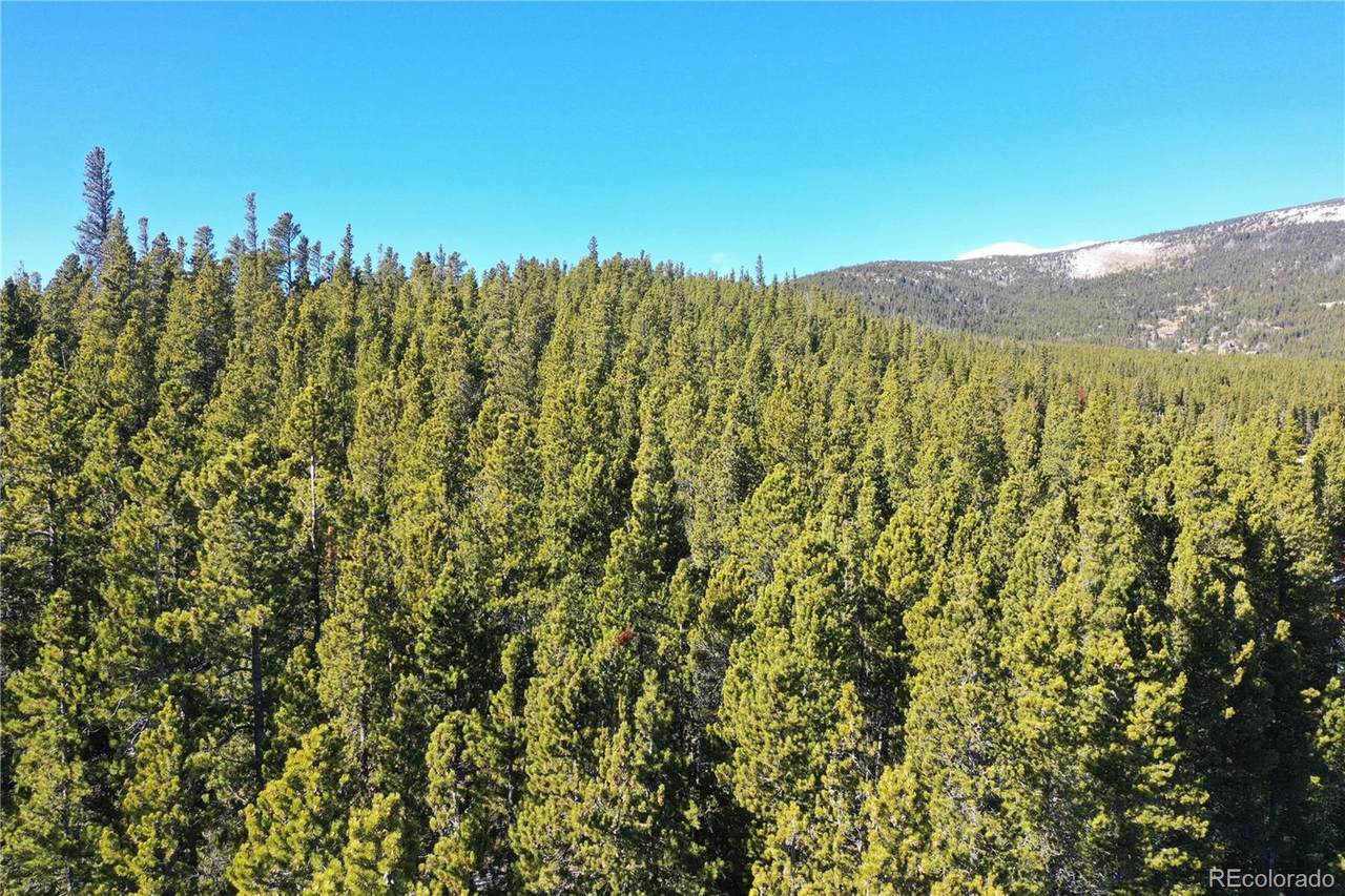 Lot 935 Silver Creek Road - Photo 1