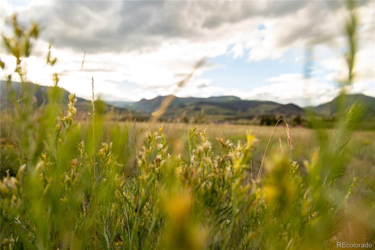 3940 Vista Grande Drive - Photo 1