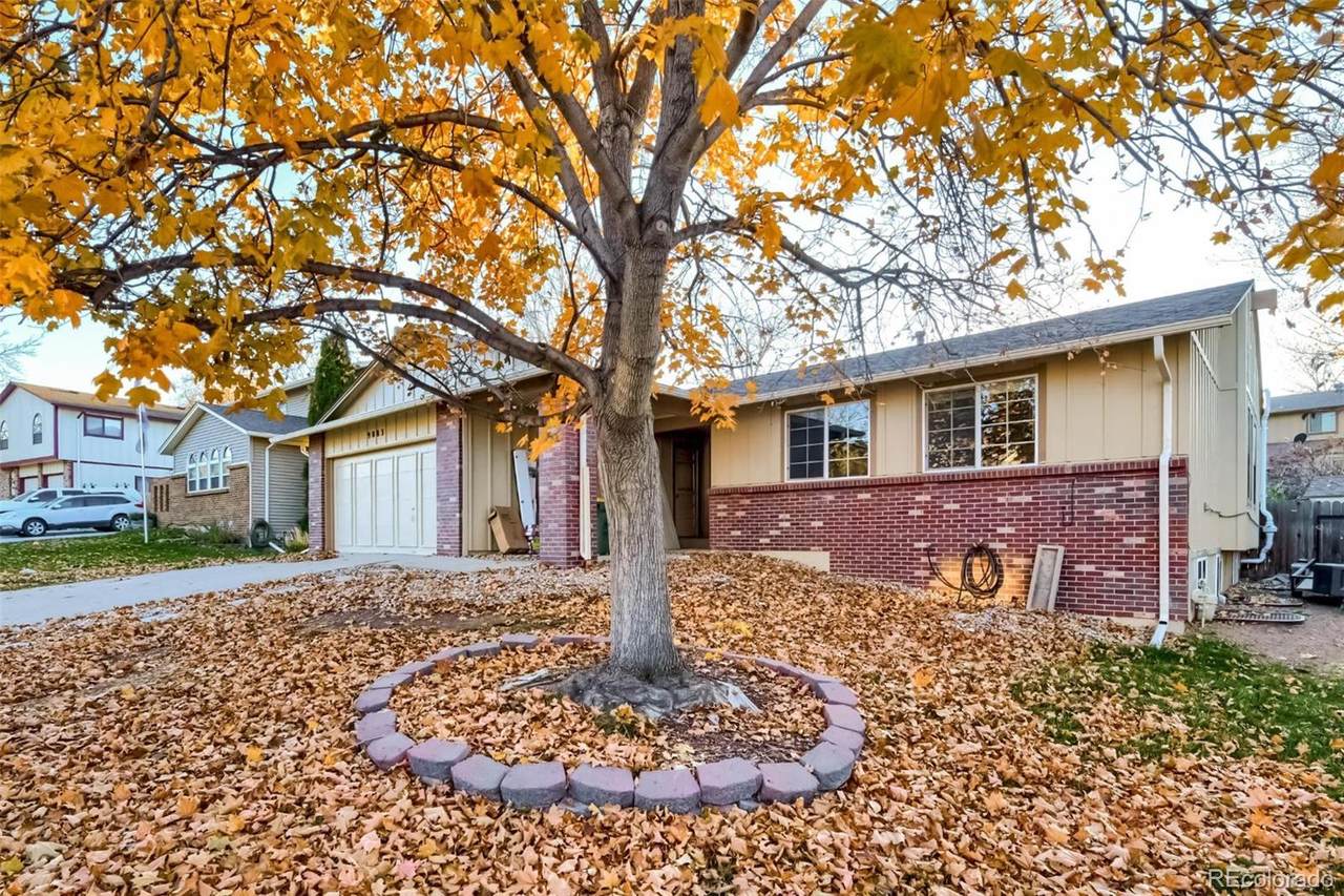 9083 Holland Street - Photo 1