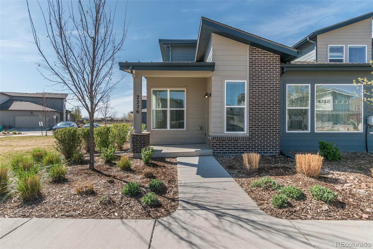 2226 Shandy Street - Photo 1