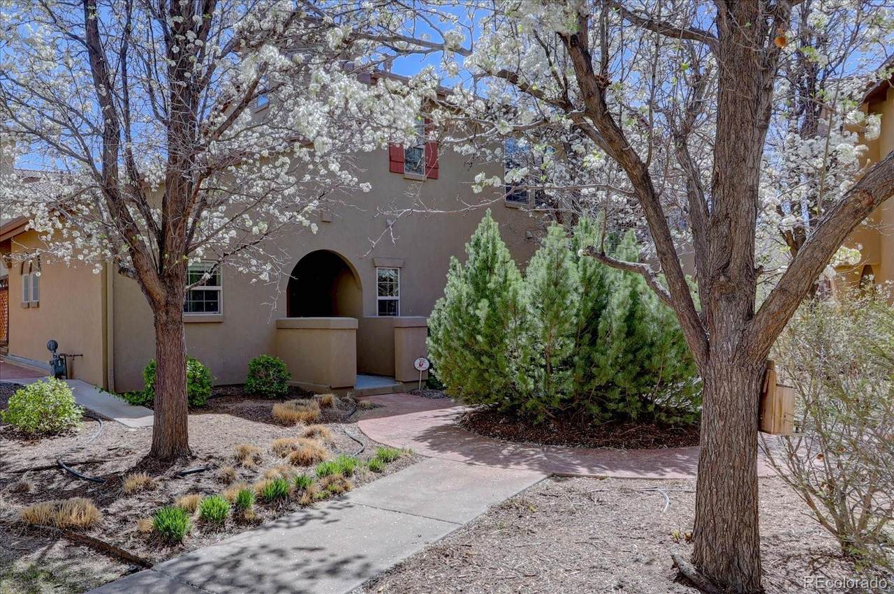 10138 29th Drive - Photo 1
