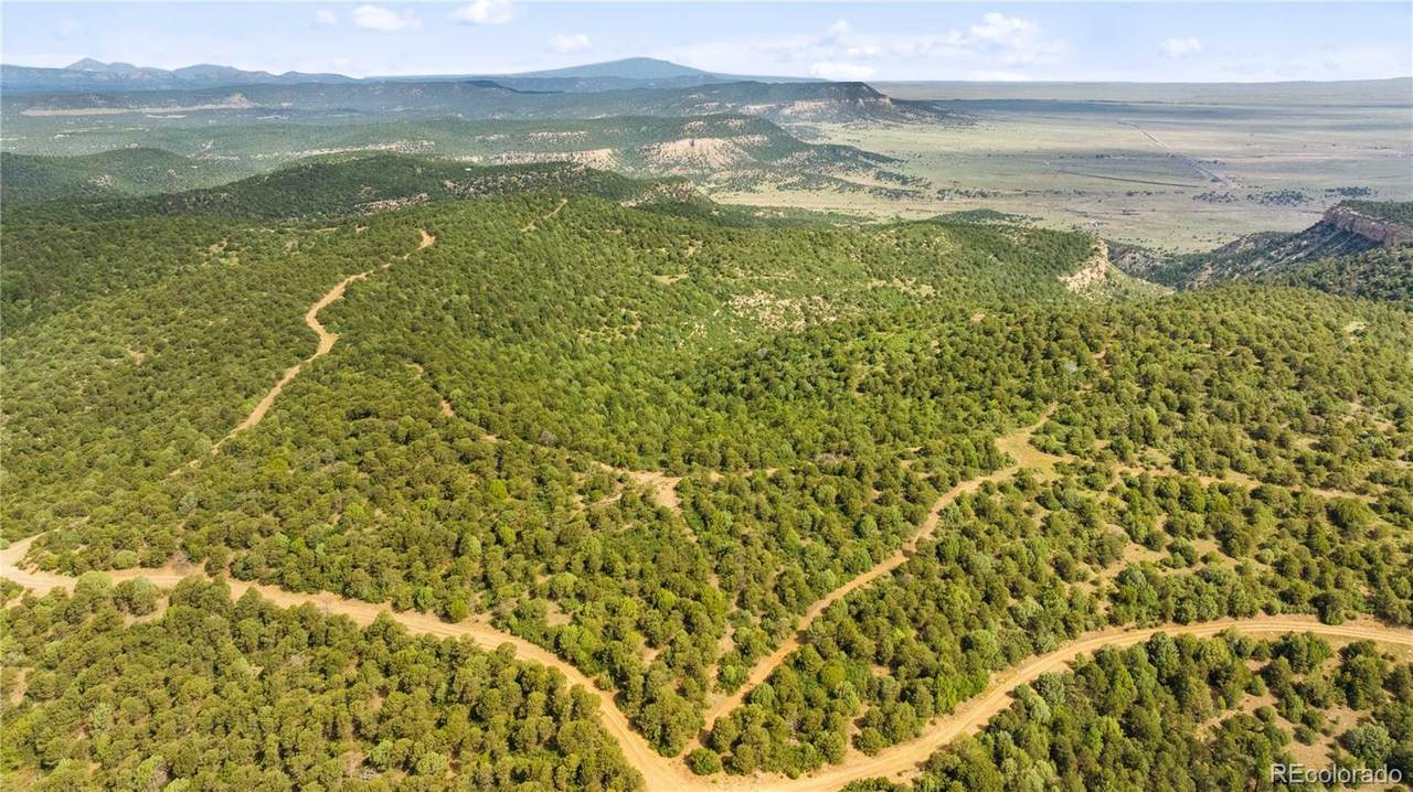 Lots F & J Tollerburg Road - Photo 1