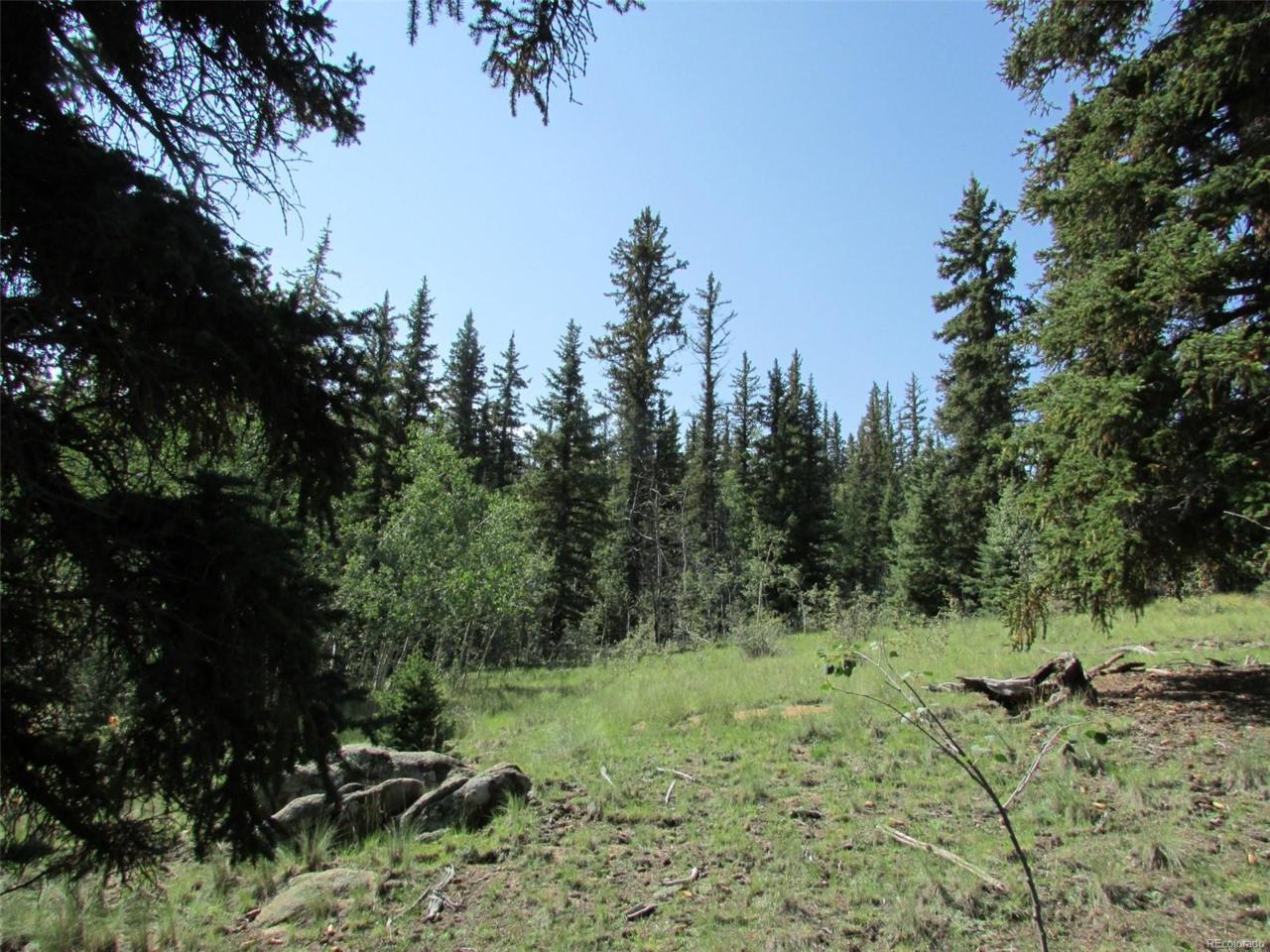 660 Swiggler Road - Photo 1
