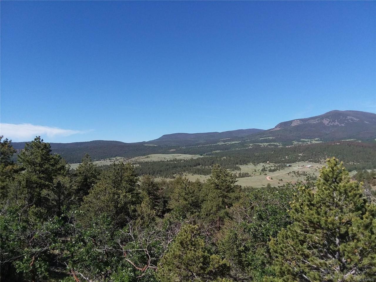 285 Rosebush Road - Photo 1