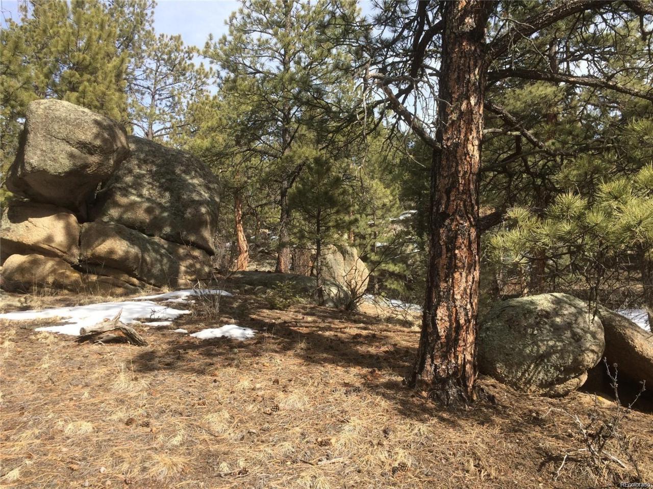 20153 Spring Creek Trail - Photo 1