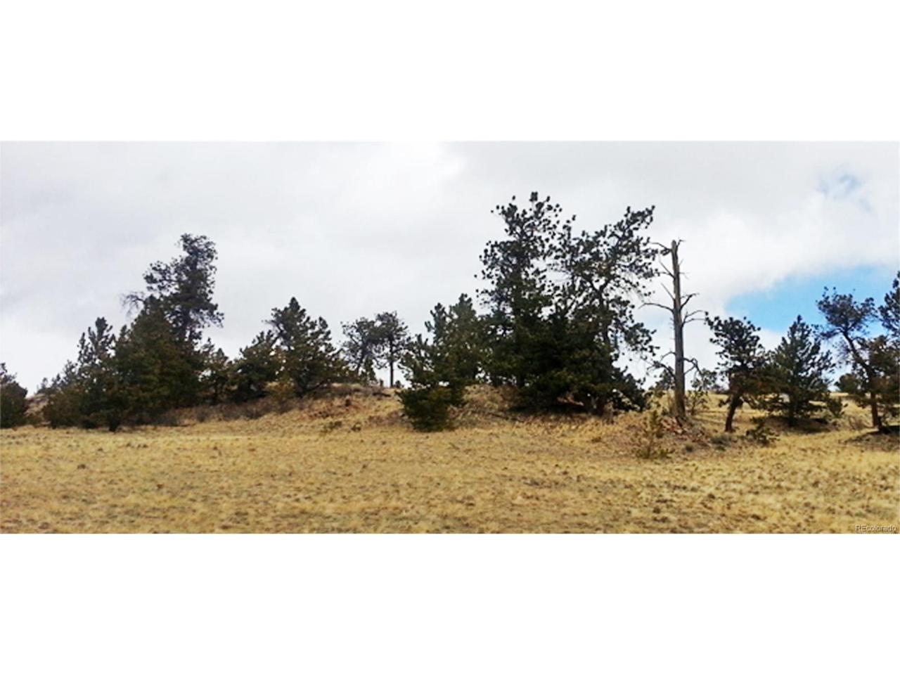 940 Pack Saddle Road - Photo 1