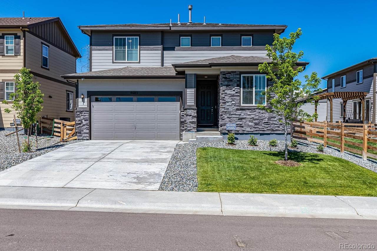4685 Odessa Street - Photo 1