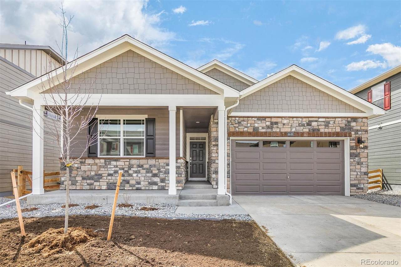 4449 Tibet Street - Photo 1