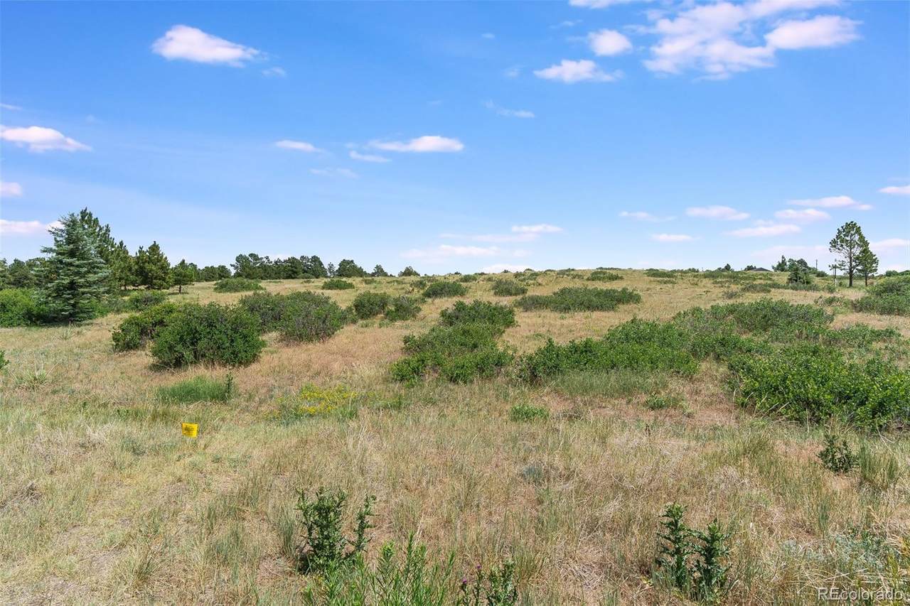9952 Falcon Roost Point - Photo 1