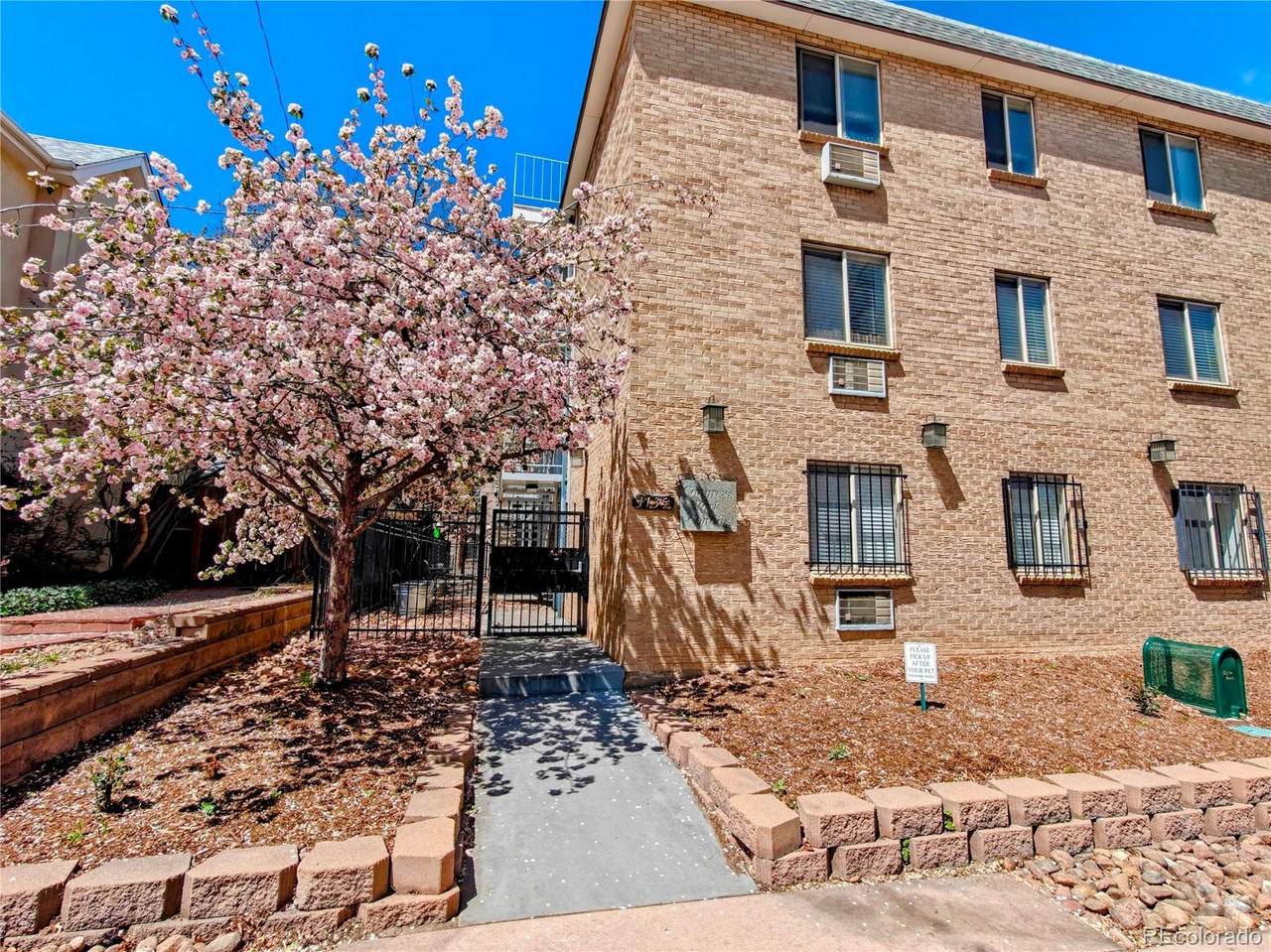 1135 Elizabeth Street - Photo 1