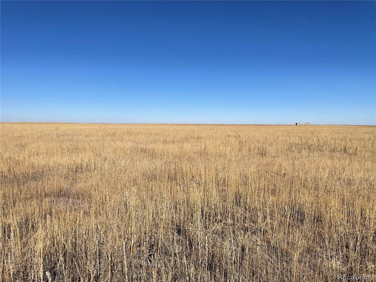 00002 County Road 149 Road - Photo 1