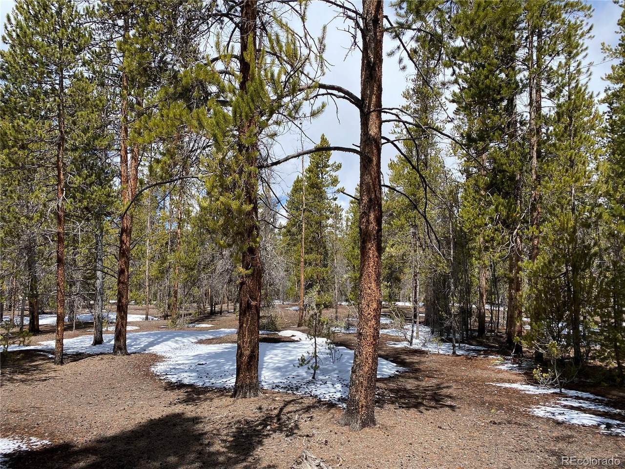 1200 Mountain Pines Court - Photo 1