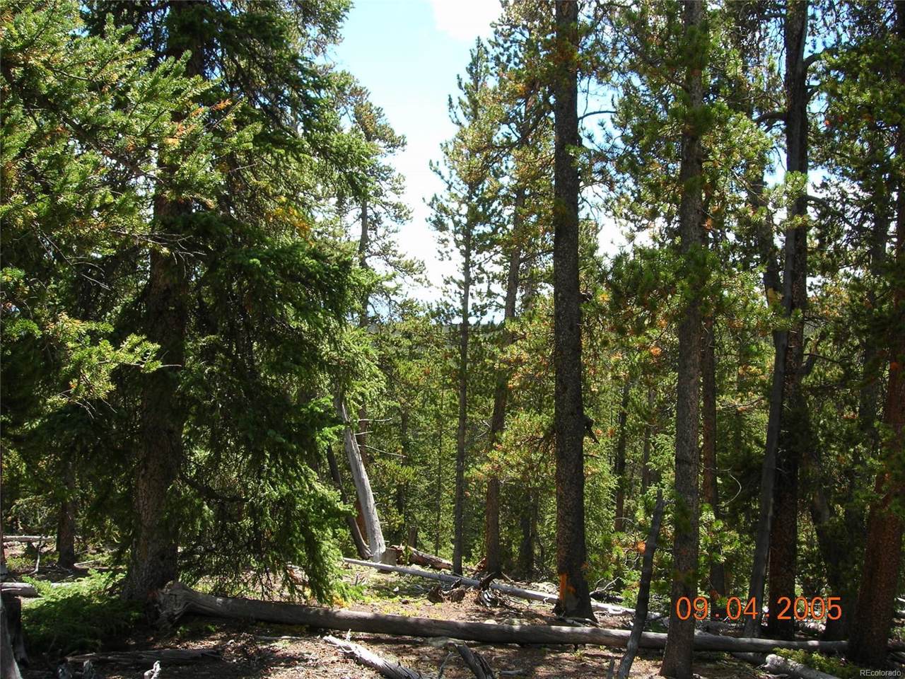 0612 Puma Place - Photo 1