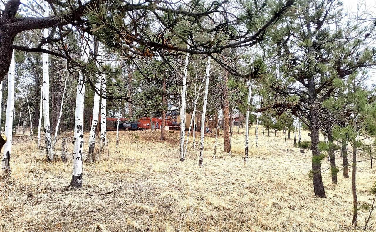 103 Adair Circle - Photo 1