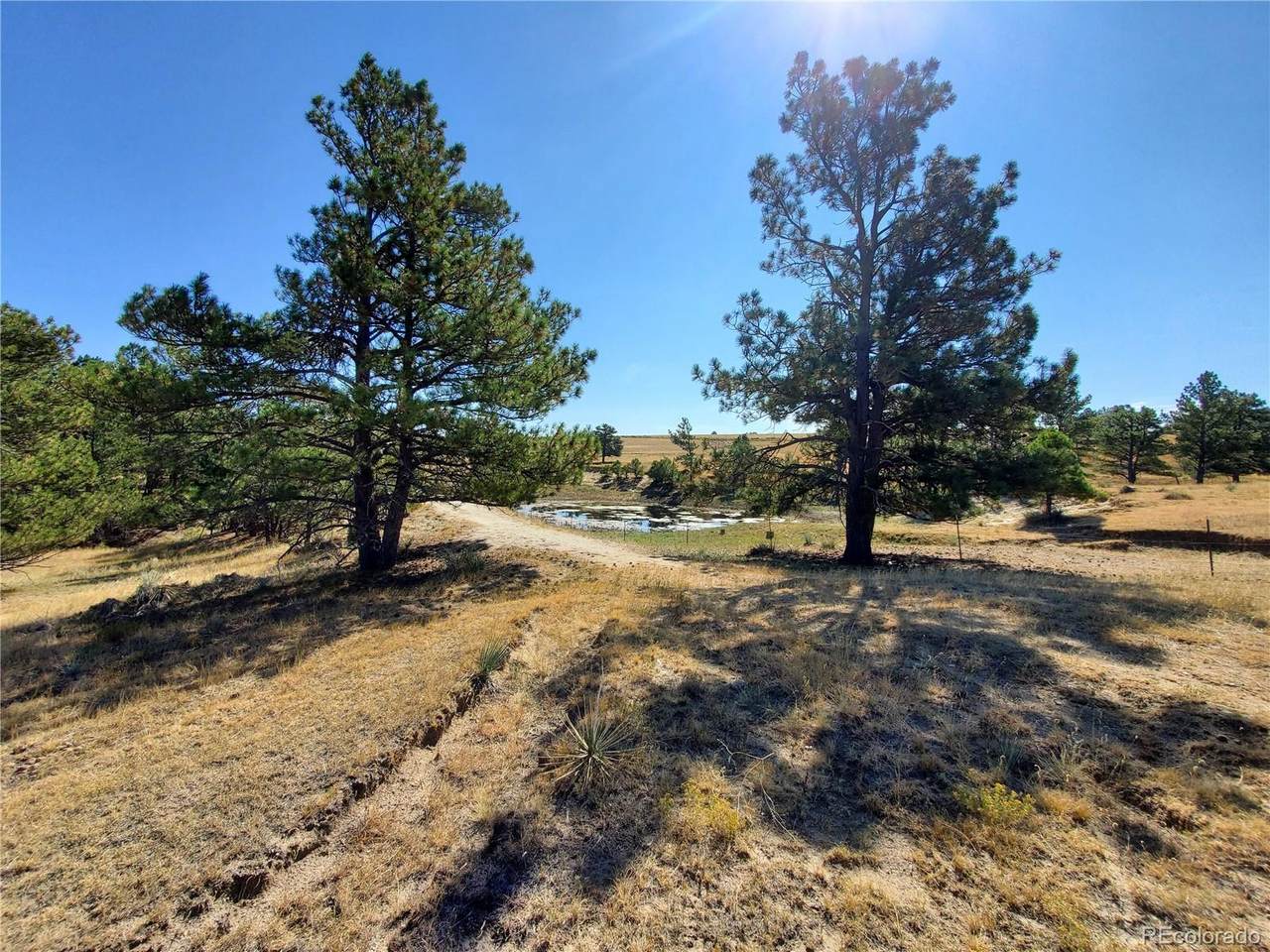 Lot B County Road 166 - Photo 1