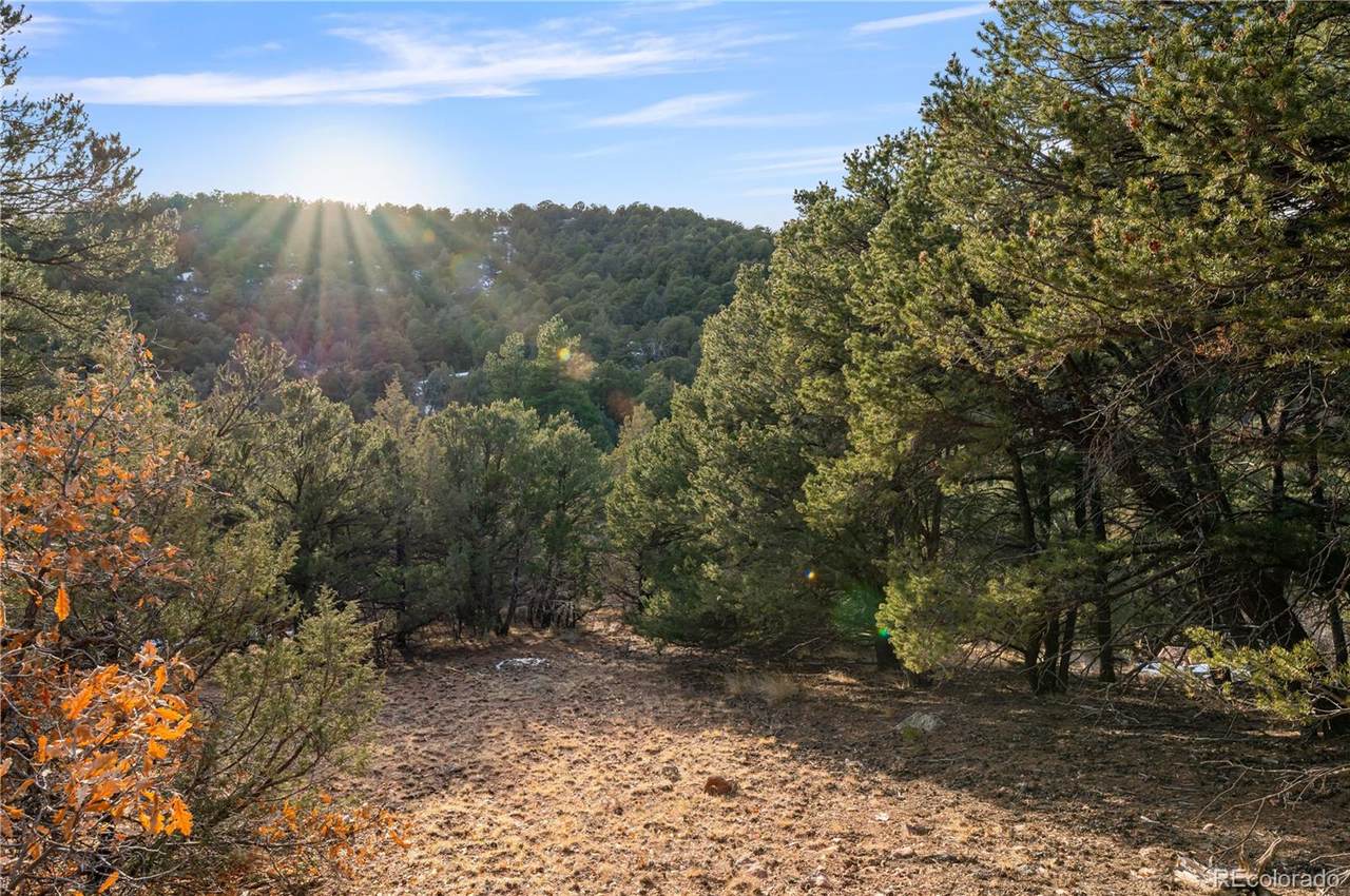 000 Sunnybrook Trail - Photo 1