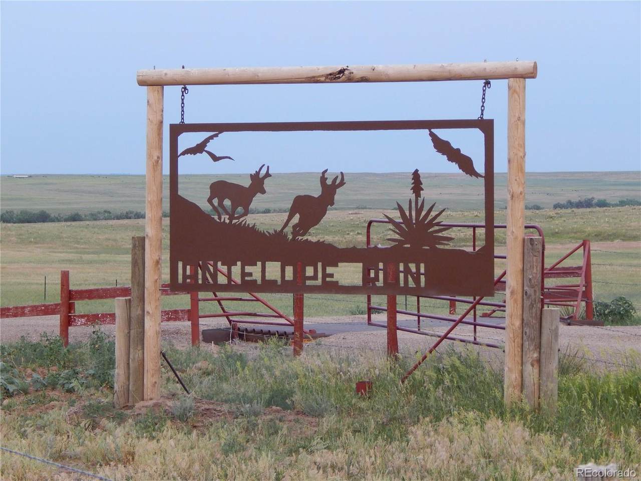 13404 & 13414 Buck Draw Point - Photo 1