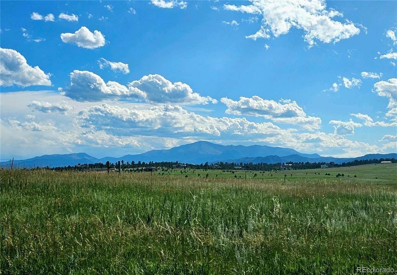 LOT G Hodgen Road - Photo 1