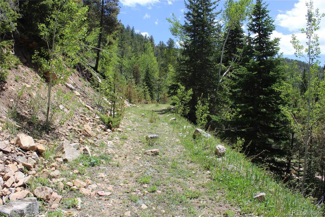 00 Mosquito Creek Road - Photo 1