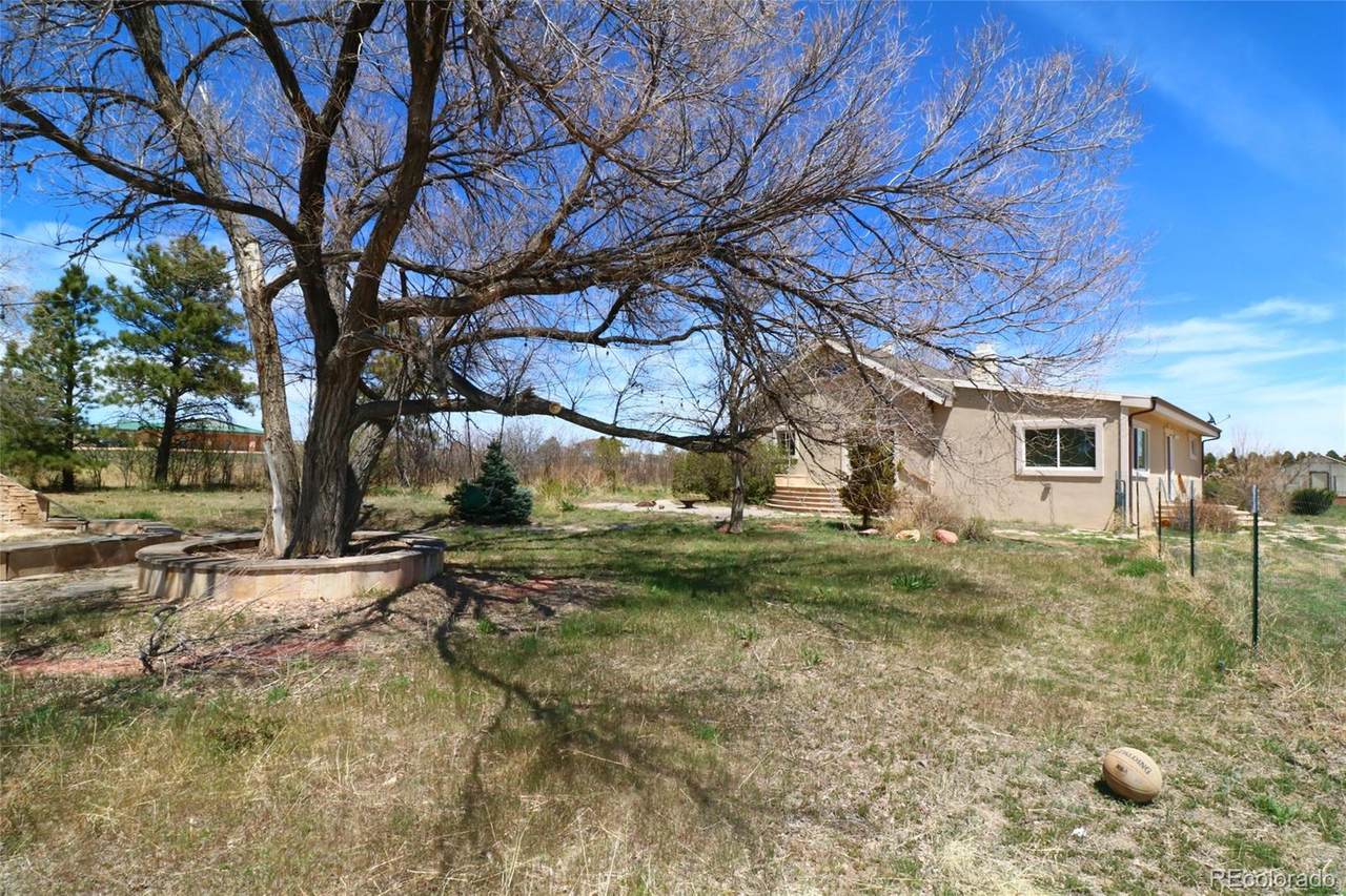 8585 Black Forest Road - Photo 1
