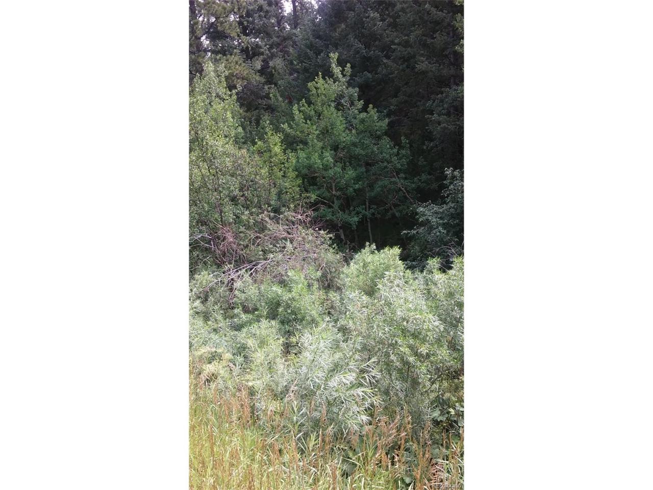 S. Turkey Creek Rd. - Photo 1