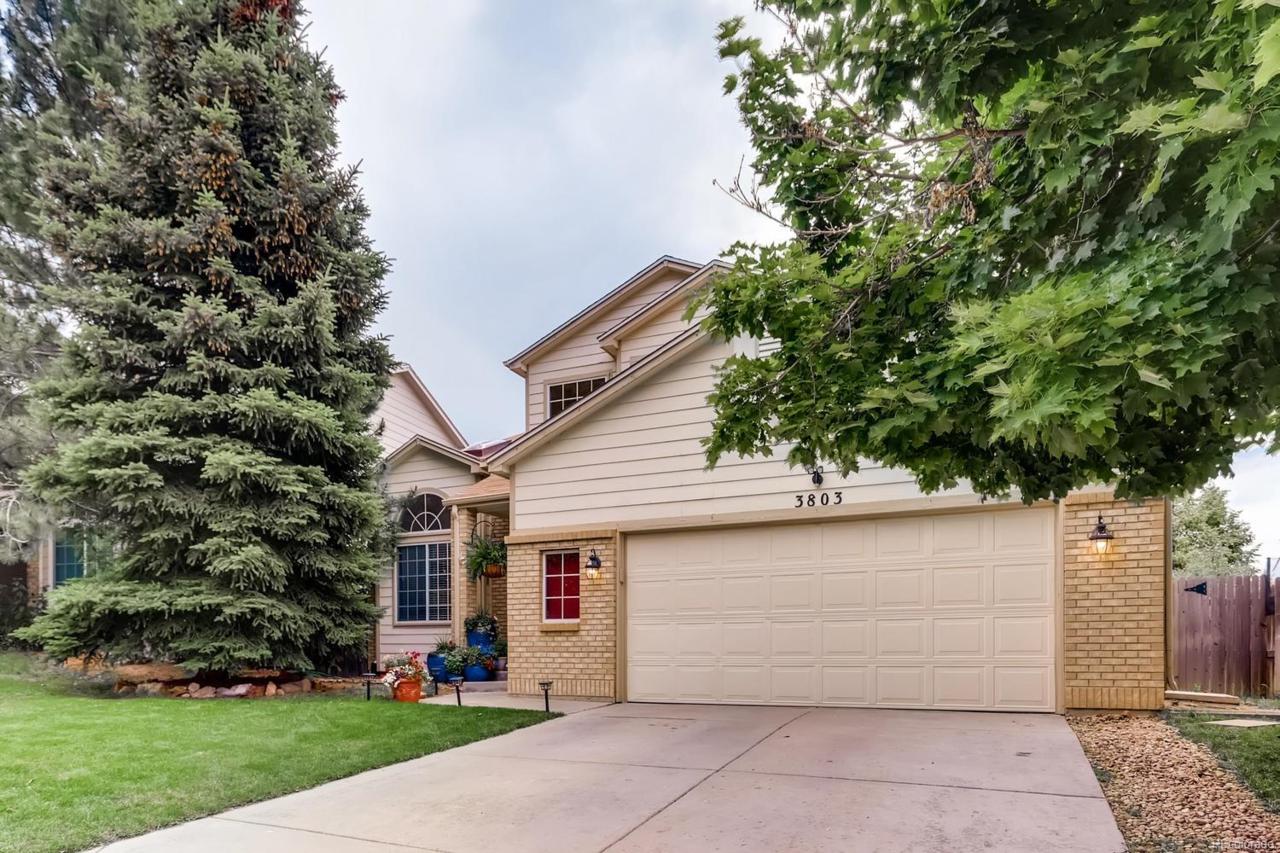 3803 Uravan Street - Photo 1
