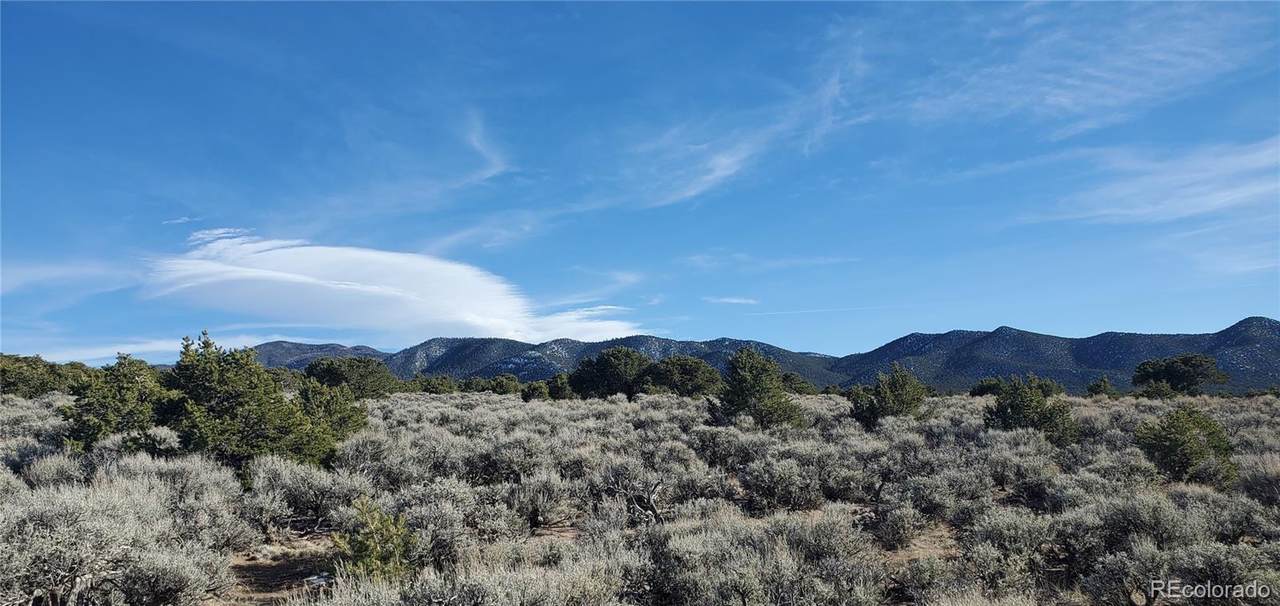 Lot 1099 Cacky Road - Photo 1