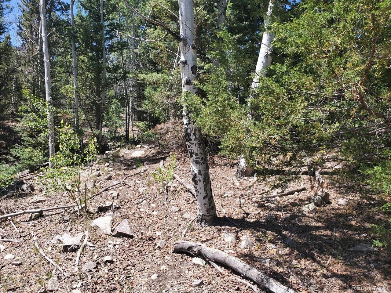 Lot 4B South Rito Hondo Court - Photo 1