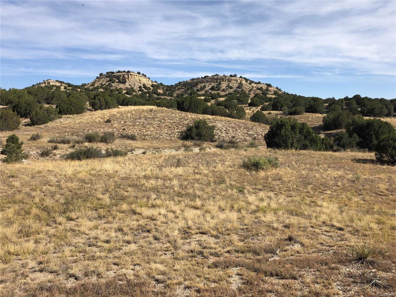 00 Bronquist Road - Photo 1