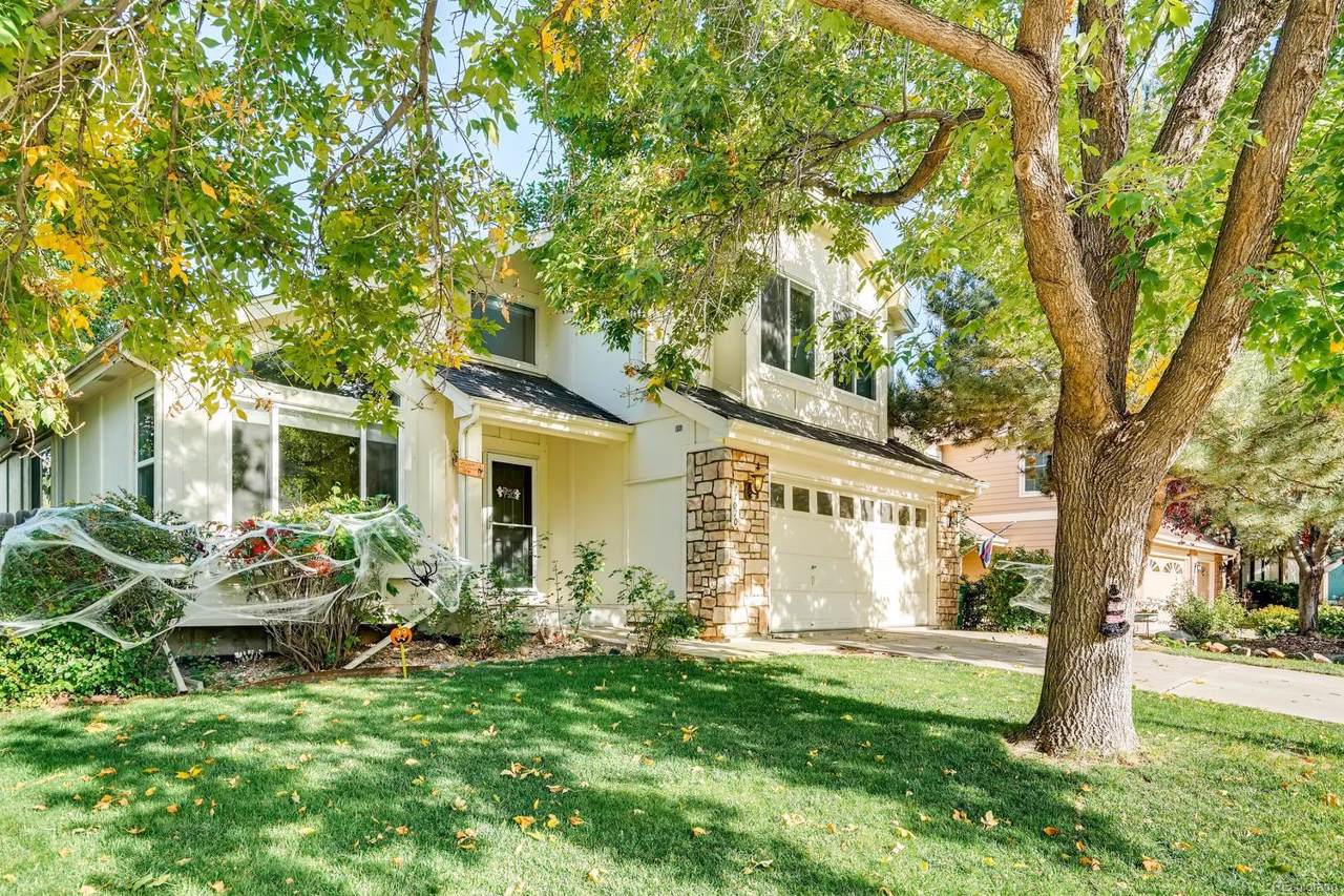 11070 Alcott Drive - Photo 1