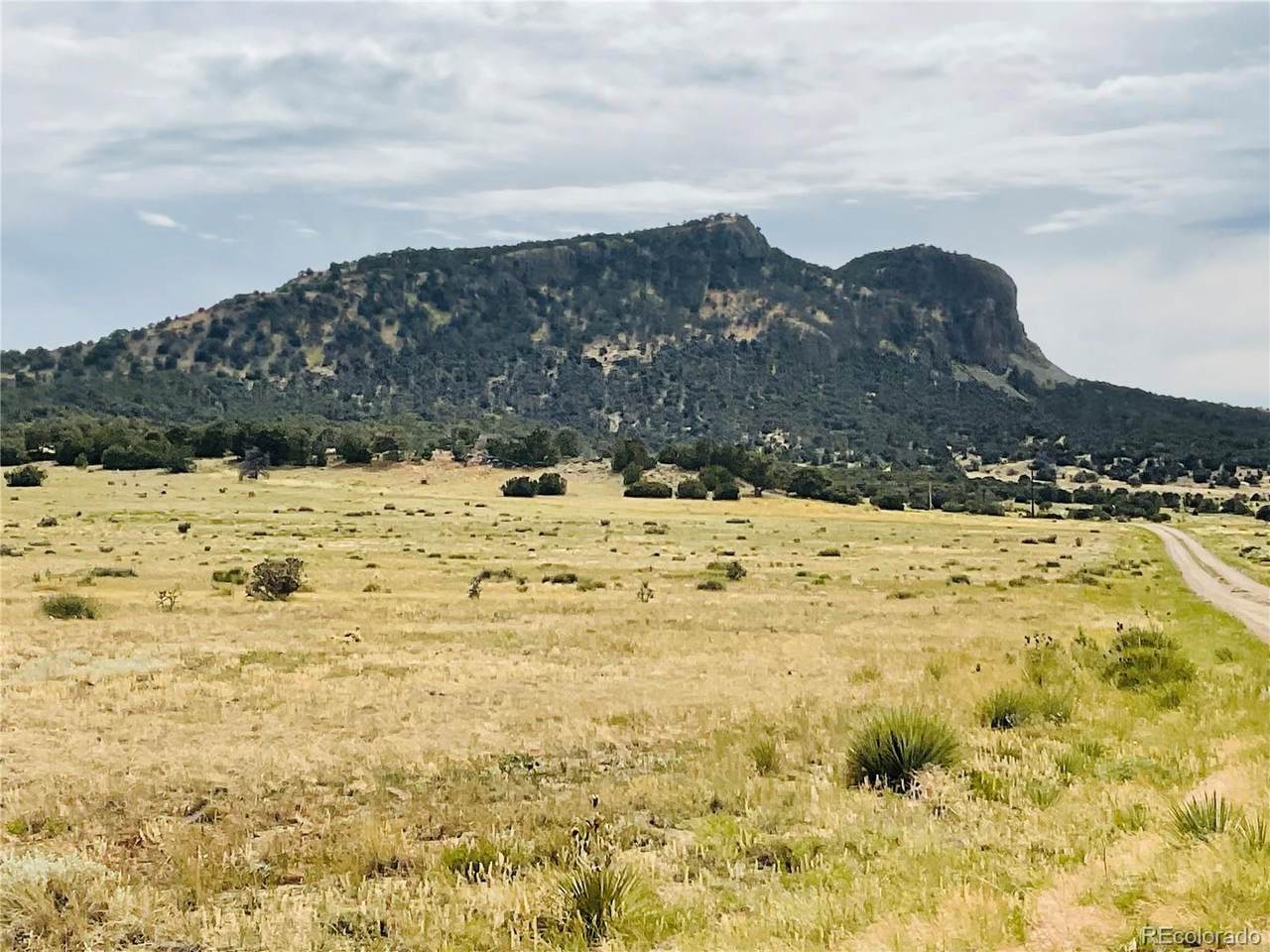 Lot 291 Black Hills - Photo 1