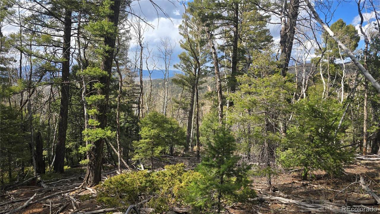 Lot 5261 Scott Road - Photo 1