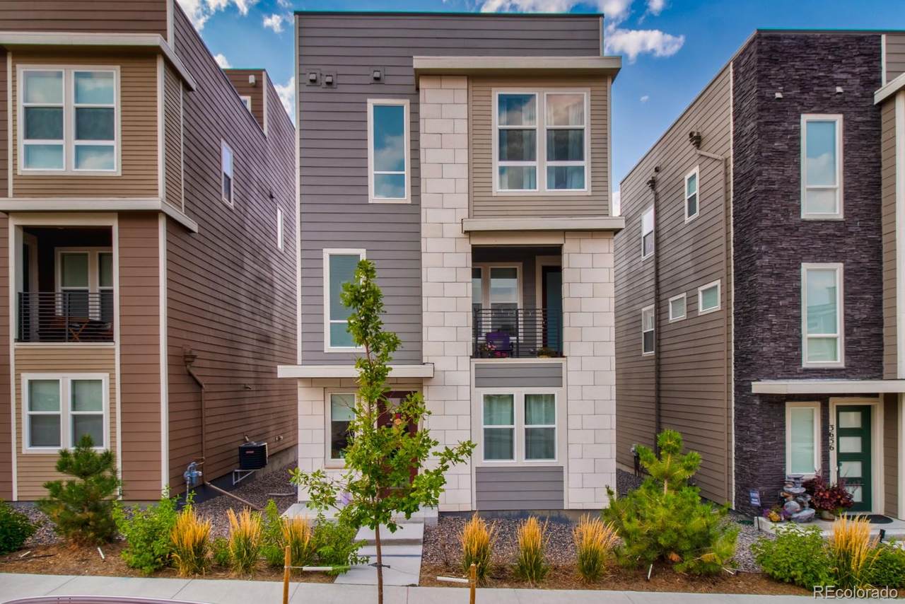 3650 Corsica Way - Photo 1