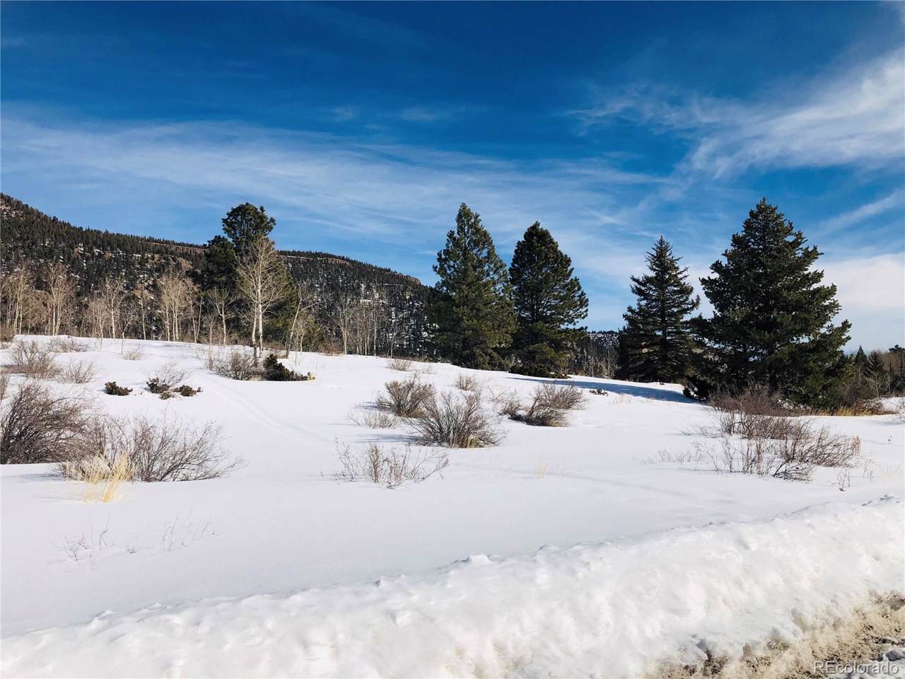 62 Bear Paw Court - Photo 1