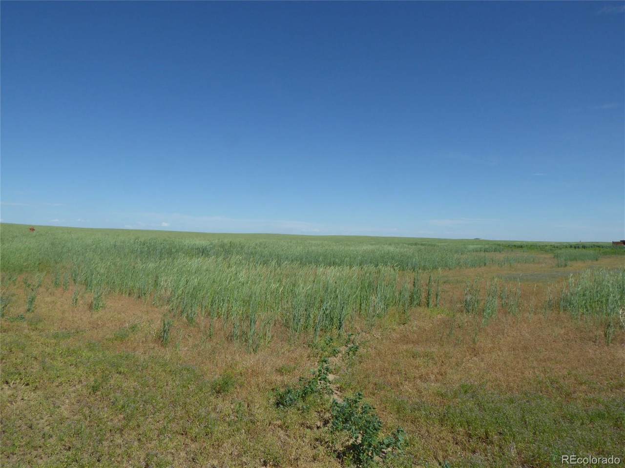 4153 County Road 185 - Photo 1