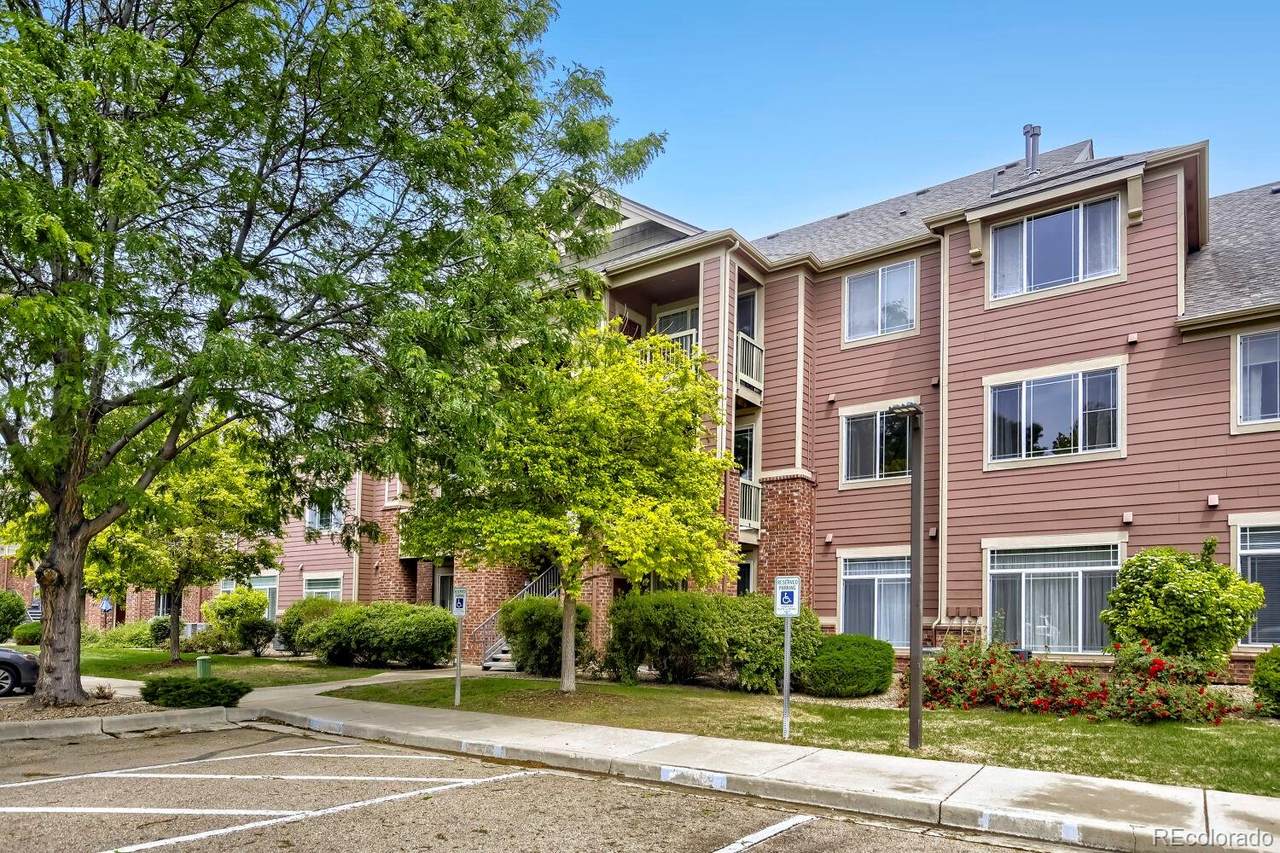 804 Summer Hawk Drive - Photo 1