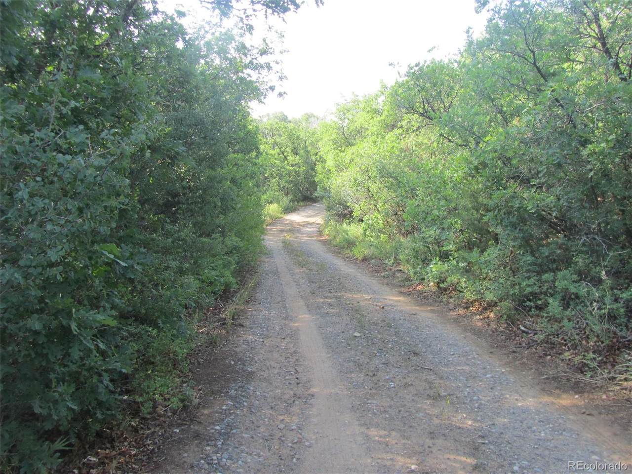 18259 Kimball Creek Road - Photo 1