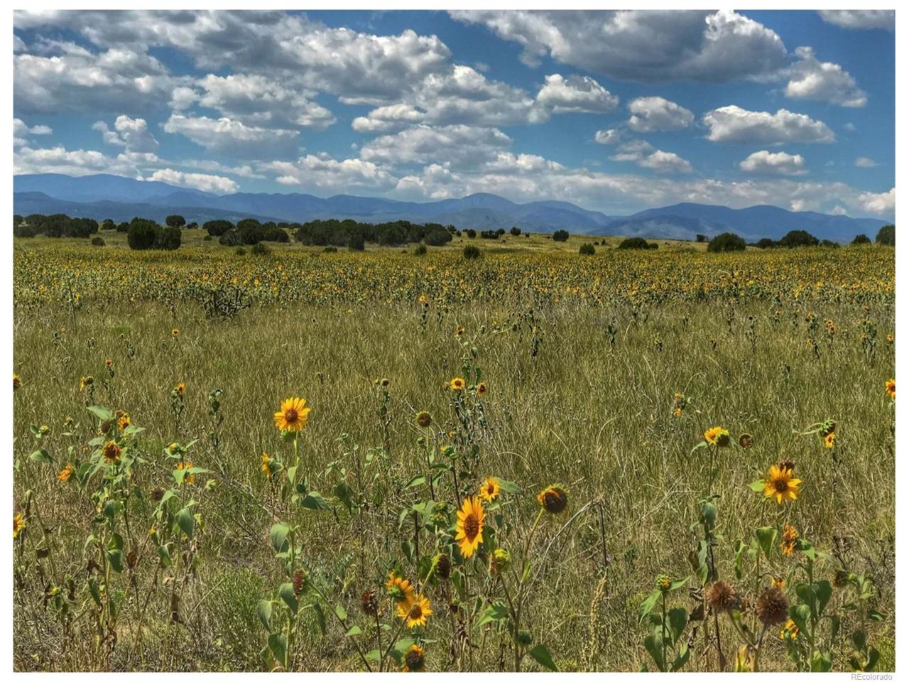 Lot 19A Red Creek Ranch Phase 1 - Photo 1